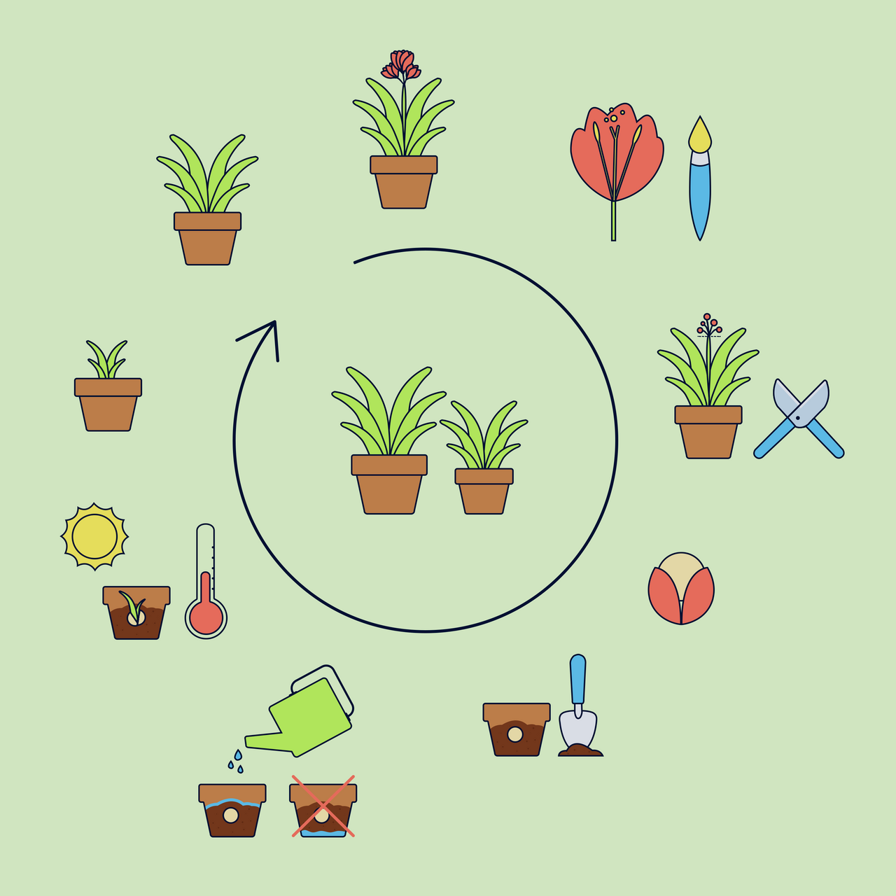 Collection of Infographics